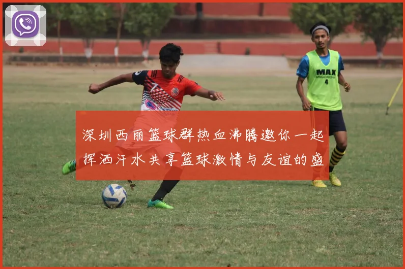 深圳西丽篮球群热血沸腾邀你一起挥洒汗水共享篮球激情与友谊的盛宴