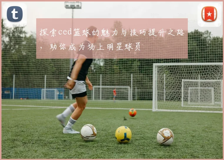 探索ced篮球的魅力与技巧提升之路，助你成为场上明星球员