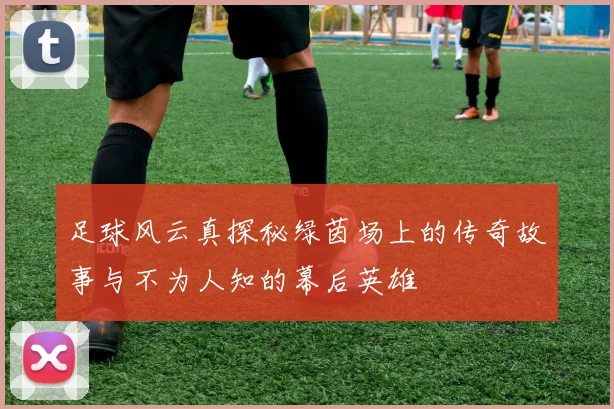 足球风云真探秘绿茵场上的传奇故事与不为人知的幕后英雄