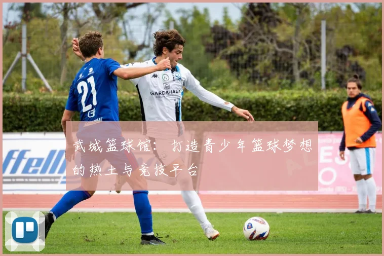 武城篮球馆：打造青少年篮球梦想的热土与竞技平台