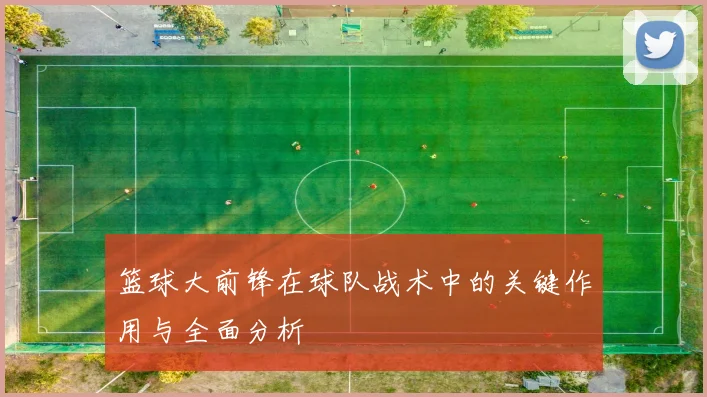 篮球大前锋在球队战术中的关键作用与全面分析