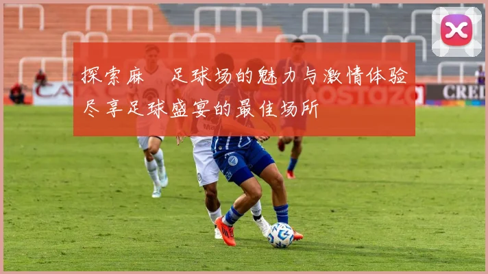 探索麻磡足球场的魅力与激情体验尽享足球盛宴的最佳场所